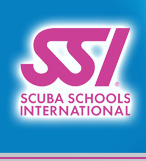 ssi
