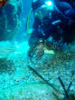 webassets/P5054720.JPG