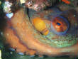 webassets/P5124932.JPG