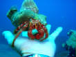webassets/P5210070.JPG