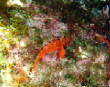 webassets/P5225183.JPG