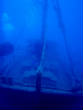 webassets/P5230021.JPG