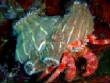 webassets/P6100047.JPG