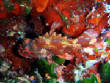 webassets/P6110001.JPG