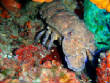 webassets/P6250267.JPG