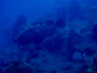 webassets/P7090560.JPG