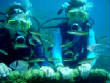webassets/P7270021.JPG