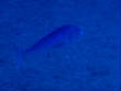 webassets/P8101651.JPG