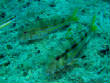 webassets/P8232074.JPG