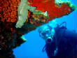 webassets/P8290035.JPG