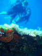 webassets/P9042543.JPG