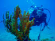 webassets/P9102579.JPG