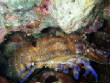 webassets/P9142757.JPG