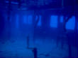 webassets/PA180070.JPG