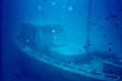 webassets/imm011_13_copy.jpg